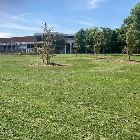 Santa Viola Marconi Blq