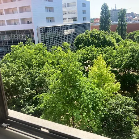 Santa Viola Marconi Blq *