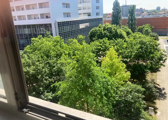 Santa Viola Marconi Blq *